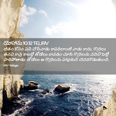 Picture 02 - యోహాను 10:12 TELIRV - జీతం కోసం పని - Bible Verse Picture