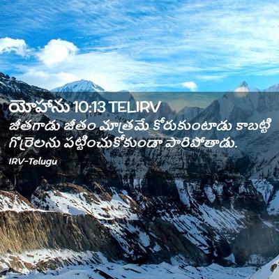 Picture 02 - యోహాను 10:13 TELIRV - జీతగాడు జీతం - Bible Verse Picture