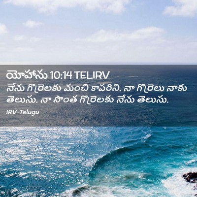 Picture 02 - యోహాను 10:14 TELIRV - నేను గొర్రెలకు - Bible Verse Picture