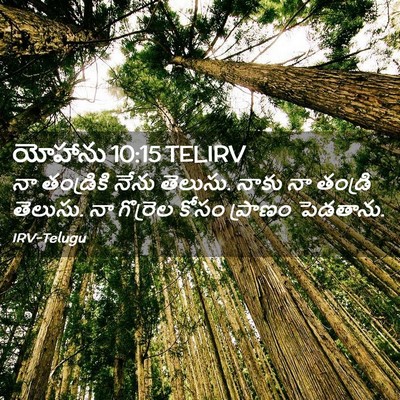 Picture 02 - యోహాను 10:15 TELIRV - నా తండ్రికి నేను - Bible Verse Picture