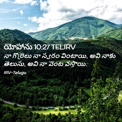 Picture 02 - యోహాను 10:27 TELIRV - నా గొర్రెలు నా - Bible Verse Picture