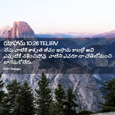 Picture 02 - యోహాను 10:28 TELIRV - నేను వాటికి - Bible Verse Picture
