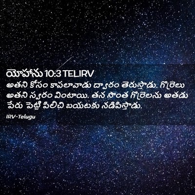Picture 02 - యోహాను 10:3 TELIRV - అతని కోసం - Bible Verse Picture