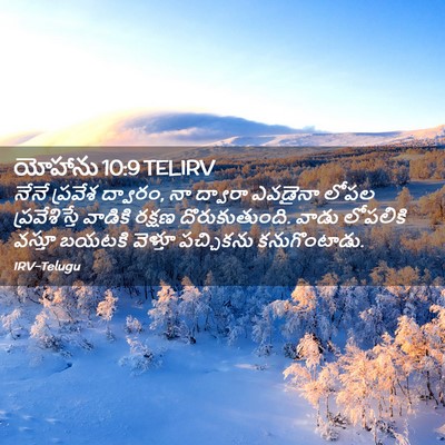 Picture 02 - యోహాను 10:9 TELIRV - నేనే ప్రవేశ - Bible Verse Picture