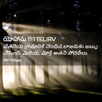 Picture 02 - యోహాను 11:1 TELIRV - బేతనియ గ్రామానికి - Bible Verse Picture