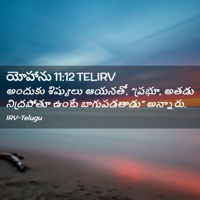 Picture 02 - యోహాను 11:12 TELIRV - అందుకు శిష్యులు - Bible Verse Picture