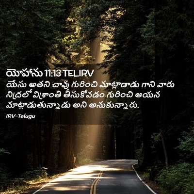Picture 02 - యోహాను 11:13 TELIRV - యేసు అతని చావు - Bible Verse Picture