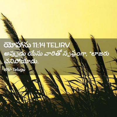 Picture 02 - యోహాను 11:14 TELIRV - అప్పుడు యేసు - Bible Verse Picture