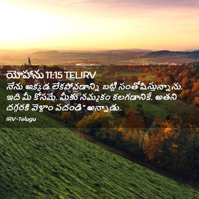 Picture 02 - యోహాను 11:15 TELIRV - నేను అక్కడ - Bible Verse Picture