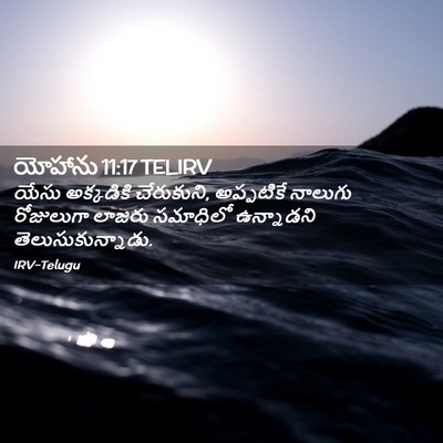 Picture 02 - యోహాను 11:17 TELIRV - యేసు అక్కడికి - Bible Verse Picture