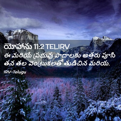 Picture 02 - యోహాను 11:2 TELIRV - ఈ మరియే ప్రభువు - Bible Verse Picture