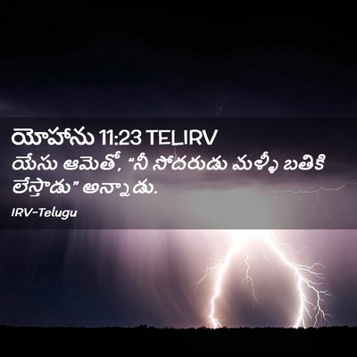 Picture 02 - యోహాను 11:23 TELIRV - యేసు ఆమెతో, “నీ - Bible Verse Picture