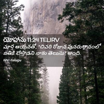 Picture 02 - యోహాను 11:24 TELIRV - మార్త ఆయనతో, - Bible Verse Picture