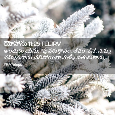 Picture 02 - యోహాను 11:25 TELIRV - అందుకు యేసు, - Bible Verse Picture