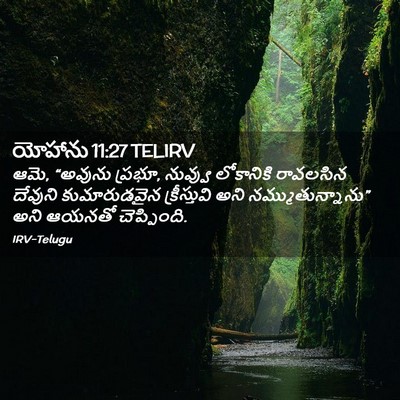 Picture 02 - యోహాను 11:27 TELIRV - ఆమె, “అవును ప్రభూ, - Bible Verse Picture