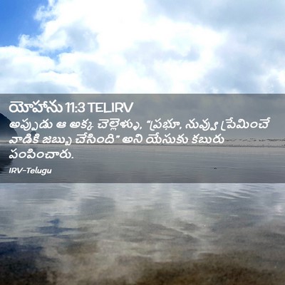 Picture 02 - యోహాను 11:3 TELIRV - అప్పుడు ఆ అక్క - Bible Verse Picture