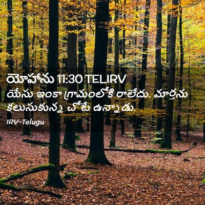 Picture 02 - యోహాను 11:30 TELIRV - యేసు ఇంకా - Bible Verse Picture