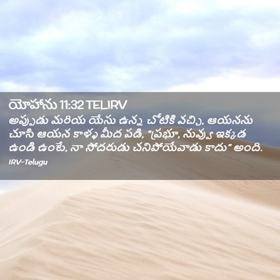 Picture 02 - యోహాను 11:32 TELIRV - అప్పుడు మరియ యేసు - Bible Verse Picture