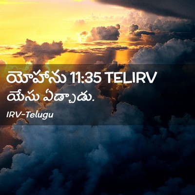 Picture 02 - యోహాను 11:35 TELIRV - యేసు - Bible Verse Picture