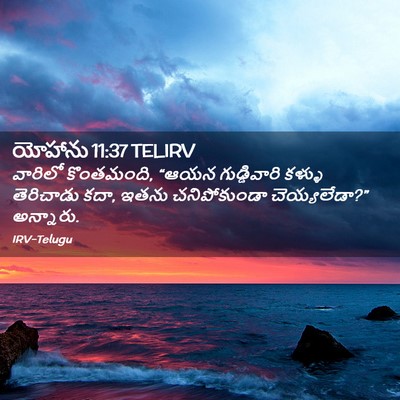 Picture 02 - యోహాను 11:37 TELIRV - వారిలో కొంతమంది, - Bible Verse Picture
