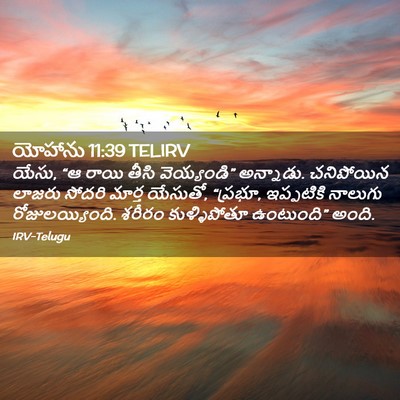 Picture 02 - యోహాను 11:39 TELIRV - యేసు, “ఆ రాయి తీసి - Bible Verse Picture