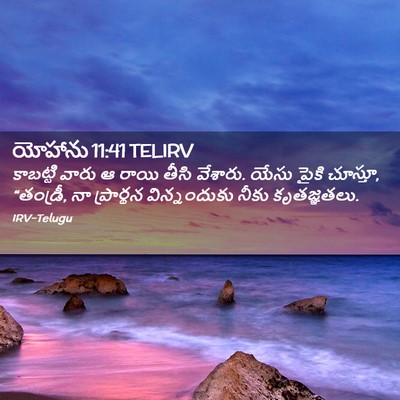 Picture 02 - యోహాను 11:41 TELIRV - కాబట్టి వారు ఆ - Bible Verse Picture