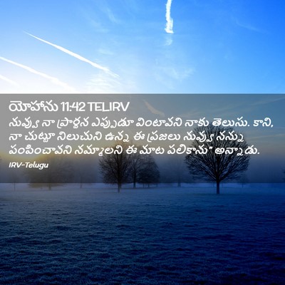 Picture 02 - యోహాను 11:42 TELIRV - నువ్వు నా - Bible Verse Picture