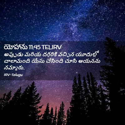 Picture 02 - యోహాను 11:45 TELIRV - అప్పుడు మరియ - Bible Verse Picture