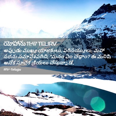 Picture 02 - యోహాను 11:47 TELIRV - అప్పుడు ముఖ్య - Bible Verse Picture