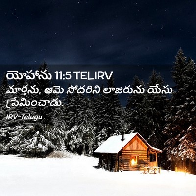 Picture 02 - యోహాను 11:5 TELIRV - మార్తను, ఆమె - Bible Verse Picture