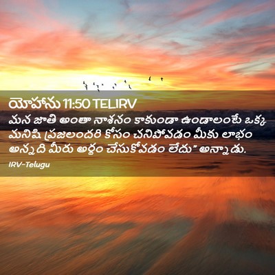 Picture 02 - యోహాను 11:50 TELIRV - మన జాతి అంతా నాశనం - Bible Verse Picture