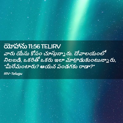 Picture 02 - యోహాను 11:56 TELIRV - వారు యేసు కోసం - Bible Verse Picture