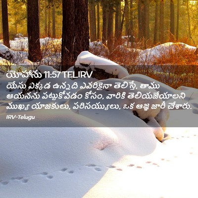 Picture 02 - యోహాను 11:57 TELIRV - యేసు ఎక్కడ ఉన్నది - Bible Verse Picture