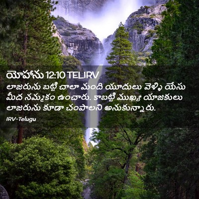 Picture 02 - యోహాను 12:10 TELIRV - లాజరును బట్టి - Bible Verse Picture
