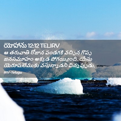 Picture 02 - యోహాను 12:12 TELIRV - ఆ తరువాతి రోజున - Bible Verse Picture