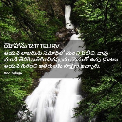 Picture 02 - యోహాను 12:17 TELIRV - ఆయన లాజరును - Bible Verse Picture