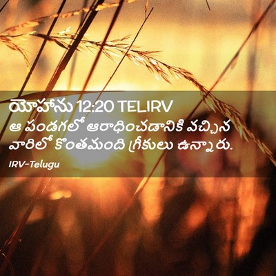 Picture 02 - యోహాను 12:20 TELIRV - ఆ పండగలో - Bible Verse Picture