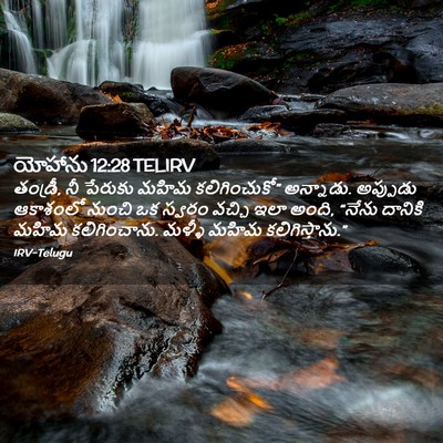 Picture 02 - యోహాను 12:28 TELIRV - తండ్రీ, నీ పేరుకు - Bible Verse Picture