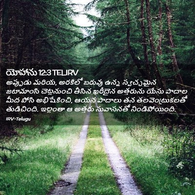 Picture 02 - యోహాను 12:3 TELIRV - అప్పుడు మరియ, - Bible Verse Picture