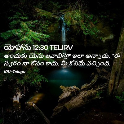 Picture 02 - యోహాను 12:30 TELIRV - అందుకు యేసు - Bible Verse Picture