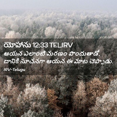 Picture 02 - యోహాను 12:33 TELIRV - ఆయన ఎలాంటి మరణం - Bible Verse Picture