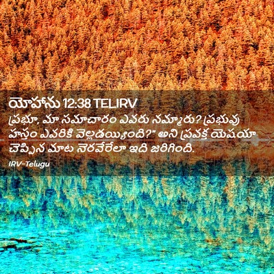 Picture 02 - యోహాను 12:38 TELIRV - ప్రభూ, మా సమాచారం - Bible Verse Picture