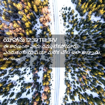 Picture 02 - యోహాను 12:39 TELIRV - ఈ కారణంగా వారు - Bible Verse Picture