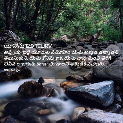 Picture 02 - యోహాను 12:9 TELIRV - అప్పుడు పెద్ద - Bible Verse Picture