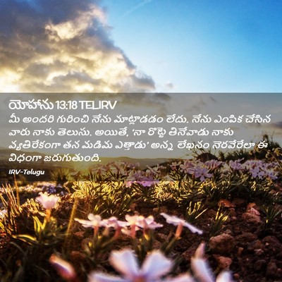 Picture 02 - యోహాను 13:18 TELIRV - మీ అందరి గురించి - Bible Verse Picture