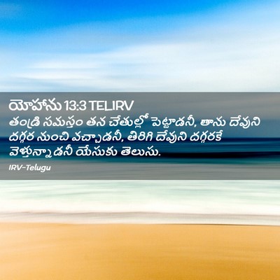Picture 02 - యోహాను 13:3 TELIRV - తండ్రి సమస్తం తన - Bible Verse Picture