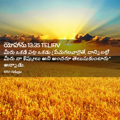 Picture 02 - యోహాను 13:35 TELIRV - మీరు ఒకడి పట్ల - Bible Verse Picture