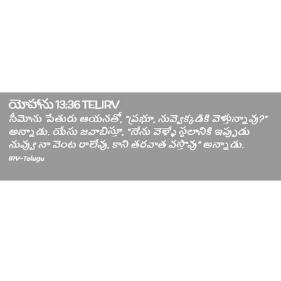 Picture 02 - యోహాను 13:36 TELIRV - సీమోను పేతురు - Bible Verse Picture