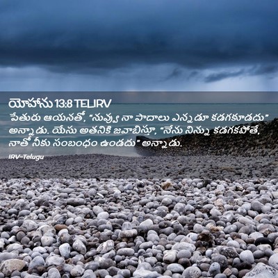 Picture 02 - యోహాను 13:8 TELIRV - పేతురు ఆయనతో, - Bible Verse Picture