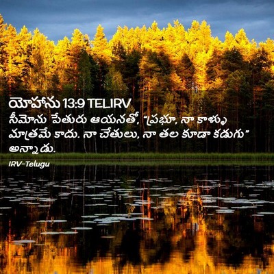 Picture 02 - యోహాను 13:9 TELIRV - సీమోను పేతురు - Bible Verse Picture